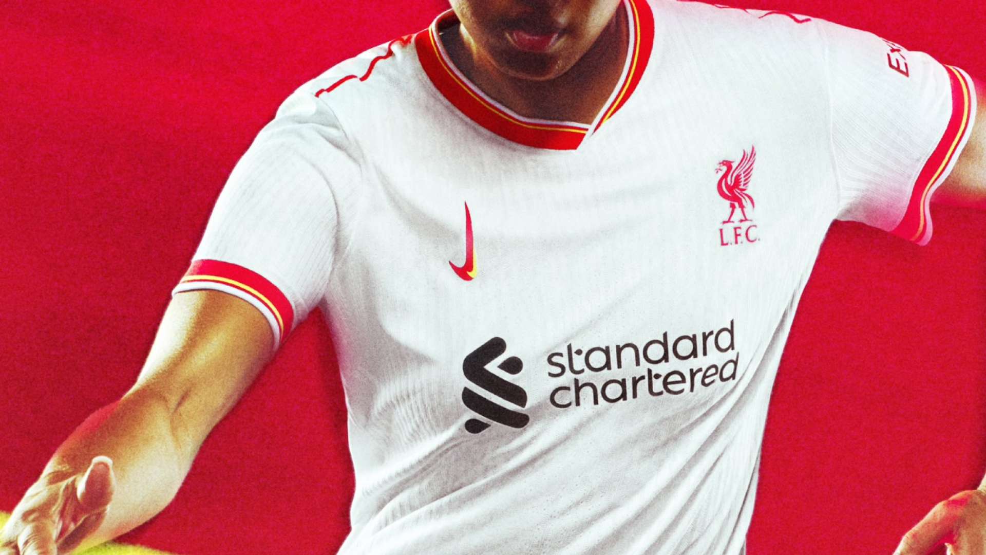 顶级选手参 顶级选手参